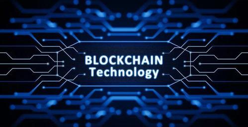 美国黑客爆料区块链视频,区块链视频背后的惊人真相